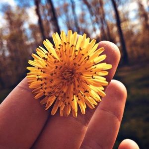 Meet your Posher, Peyton